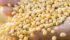 Situations in which shipments of conventional soybeans and corn arriving in the United States with an organic label could easily happen in Canada, warns a former organic inspector. | Getty photo