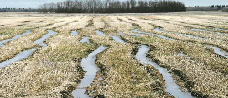 Managing ruts this spring is required but it needs to be delicate management. Ideally, it should take place when the soil is dry or frozen, which eliminates compaction.  | File photo