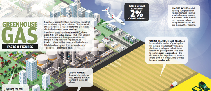 Carbon taxation