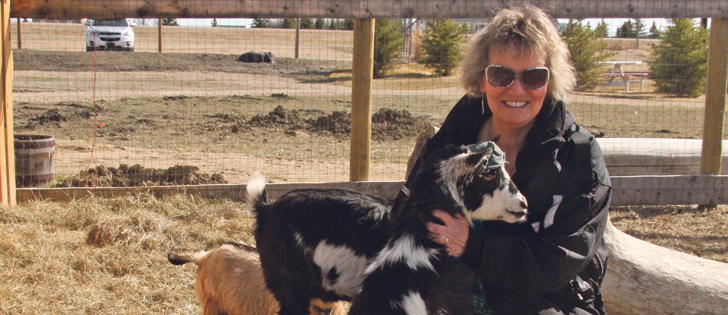 Want to sign up for goat yoga classes at Grotto Gardens? The Maple Creek, Sask., farm has room for only 20 people per class. If yoga isn’t your thing, there is also a gift and coffee shop, a duck pond and a perennial garden to visit.  |  Karen Briere photo