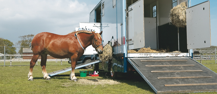 Bring your own feed to horse events to avoid changes in diet that can cause colic or diarrhea.  |  Getty photo