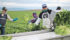 American fruit and vegetable farms rely on foreign workers, and industries are pressuring politicians to push the White House to adopt a more acceptable policy on immigration. | Reuters photo