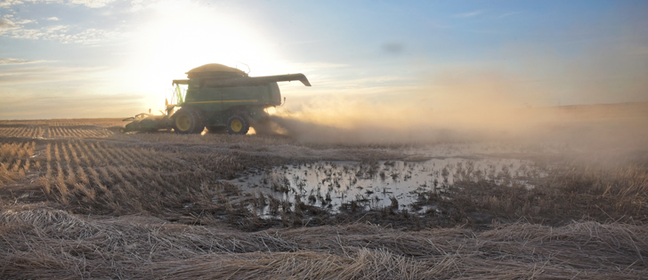 Alberta cereal crops from 2016 that remained in the field over winter are gradually being dealt with. | William DeKay photo