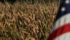 Today's verdict by a federal jury in Kansas City, Kansas, was announced by lawyers for the farmers, who blamed the Swiss company for causing catastrophic damage to them after Chinese officials began refusing U.S. corn shipments in 2013. | File photo