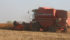 Mike Lee, owner of Green Square Agro Consulting, recently conducted a five-day, 2,500 kilometre tour of fields in the main wheat growing regions of Russia and Ukraine. His conclusion is their crops are going to be a lot bigger than the U.S. Department of Agriculture is estimating. | File photo