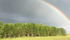 All regions of Manitoba received rainfall, ranging from 15 to 55 millimetres, during the week ended June 19, with the moisture generally beneficial for crops, according to the latest provincial crop report. | File photo