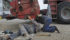 An Alberta provincial court judge recommends that farm safety training be made compulsory in all post-secondary agriculture programs and that the government develop a compulsory regime of safety certification on farm equipment.
| File photo