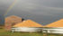 Despite a global stocks-to-use ratio of 35.5 percent, there is growing panic among millers about a shortage of quality, high protein wheat. | File photo