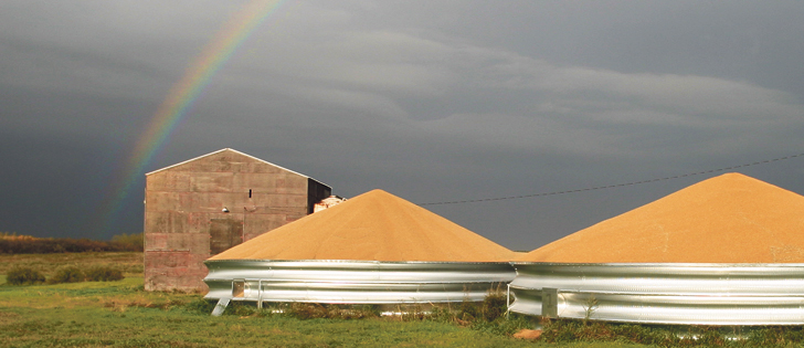 Despite a global stocks-to-use ratio of 35.5 percent, there is growing panic among millers about a shortage of quality, high protein wheat. | File photo
