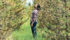 Brad Rabiey examines the height of some of the trees planted on the family farm near Manning, Alta., as part of the Carbon Farmer operation. | Barb Glen photo