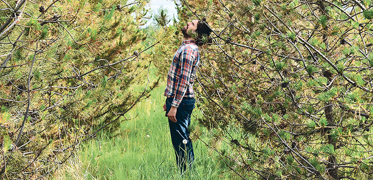 Brad Rabiey examines the height of some of the trees planted on the family farm near Manning, Alta., as part of the Carbon Farmer operation.  |  Barb Glen photo