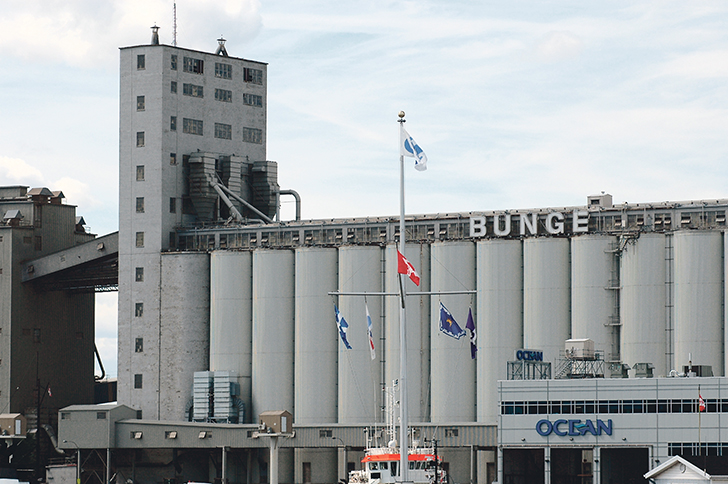 Bunge plans to restructure its global operations to cut costs by $250 million over the next two years.  |  file photo