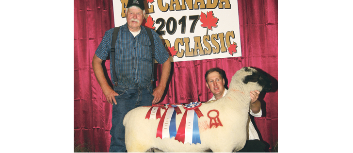 Robin and Richard Herlinveaux of North Saanich, B.C., won supreme champion ram with a Hampshire. | Barbara Duckworth photo