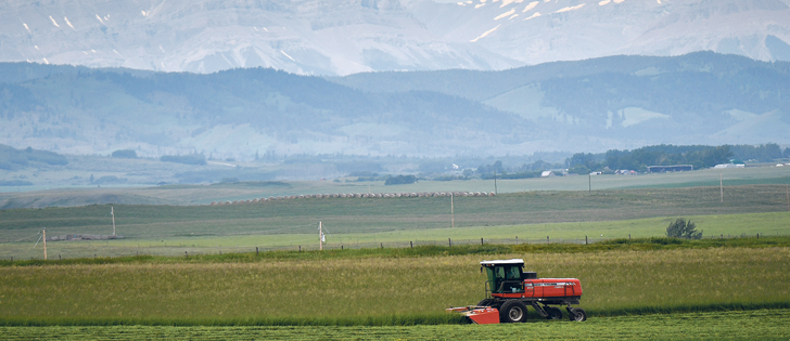 A farmer cuts a hay crop southwest of High River., Alta., June 26.   |  Mike Sturk photo
