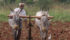 The UN Food and Agriculture Organization (FAO) was hoping the downward trend would continue, but it appears that more people are now hungry in 2017. | File photo