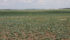 Western North Dakota and other parts of the northern Plains are in drought with rainfall in some places 100 to 125 millimetres below normal since March. | File photo