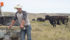 Trewett Chaplin, a 28-year-old farmer near Craik, Sask., says he experiences social isolation and stress, particularly in years with drought or other unexpected conditions. He’s not alone, according to recent statistics. | William DeKay photo