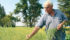Les Ferris, who farms north of Holland, Man., isn’t sure how his canola crop will yield this year. Like many crops, Ferris’s canola suffered through a warm and dry summer. | Robert Arnason photo