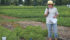 Rosalind Bueckert, crop physiologist at the University of Saskatchewan, discusses what relative maturity means for soybean yield during a field day in Melfort, Sask., July 26. | William DeKay photo