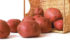 Fewer spuds sown in Canada