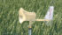 This spore catcher unit is used at Agriculture Canada’s research centre near Lacombe. Spores travelling in the wind are captured in a filter at the end of the funnel and show what species are out there as well as help determine whether a field should be sprayed with fungicide. | Barbara Duckworth photo