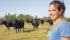 Lacey McCrae, a semi-finalist in the Canadian Cattlemen Association’s Young Leaders program, checks her Black Angus herd near Vermilion, Alta. | Karen Morrison photo