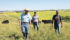 Ernie Gibson, left, and his sons, Jordan and Ryan check cattle and pastures at their Everblack Angus farm near Vermilion, Alta., where they have received some timely rains. | Karen Morrson photo
