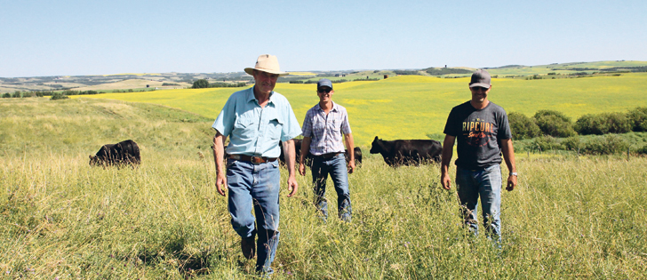 Ernie Gibson, left, and his sons, Jordan and Ryan check cattle and pastures at their Everblack Angus farm near Vermilion, Alta., where they have received some timely rains.  |  Karen Morrson photo