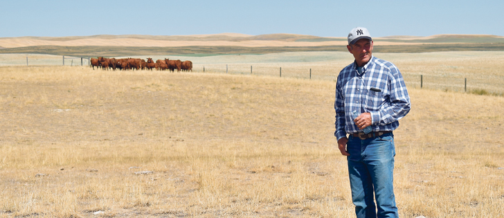 Cattle handling expert Dylan Biggs gave a workshop Aug. 9 east of Champion, Alta., organized through the Foothills Forage and Grazing Association. The pasture is an example of dry conditions in the region, similar to those in southern Saskatchewan. Shortage of pasture and hay might require some innovation on the part of ranchers dealing with drought.  |  Barb Glen photo