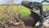 The SFM series is probably the most practical machine for converting bush into cropland, says GB rep Sylvain Benoit. The violent shredding action turns tree to mulch, thus eliminating the need to pile and burn. | Sylvain Benoit photo