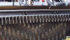 The biggest machine GB Equipment brought to Ag in Motion was this FAE road reclamation shredder which is capable of digging up and crushing two-foot rocks from a depth of 14 inches on a packed gravel road. The unit is designed more for construction companies than for farmers, although it could do a pretty good job of clearing bush. | Ron Lyseng photo