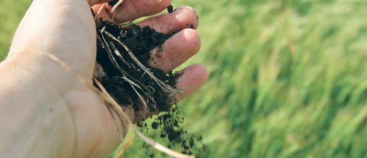 A drought creates fields with a wide range of nutrient levels so soil testing — up to 16 samples per zone — is recommended to get a clear picture of what inputs may be required.  |  File photo
