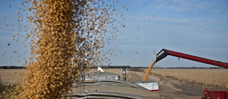 Analysts are taking issue with what they see as high corn and soybean yield numbers in the USDA's latest WASDE report. | File photo