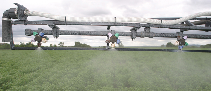 Concerns over glyphosate's risk to human health have prompted investigations by U.S. congressional committees and delayed a relicensing decision in the EU. | File photo