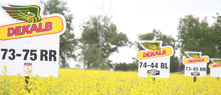 Some Chicago-area moms thought that company signs indicating the type of seed grown in various fields was instead a statement of ownership.  | File photo
