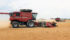 Red lentils being harvested near Elbow, Sask. Provincial specialists are forecasting smaller than usual crops in Alberta and Saskatchewan because of hot and dry conditions.
| Robin Booker photo