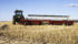 As the risk of frost intensifies heading into October, farmers with late-seeded cereals should consider swathing prematurely to get a better price at the elevator, said a cereal extension specialist with Alberta Agriculture.
| file photo