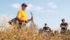 Clint Jurke, agronomy director with the Canola Council of Canada, shows producers how to spot blackleg during harvest. | Jeremy Simes photo