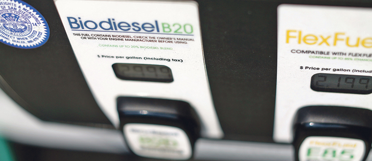 Canadian canola oil might see increased demand if American biodiesel makers backfill reduced imports.  |  Reuters photo