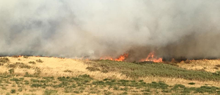 Feeding will begin much earlier at Six Mile Ranch this fall after fire swept through stockpiled winter grazing acreage last week.  | Facebook/Corinne Gibson photo