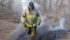 Pete Neudorf, a volunteer fire fighter from the Burstall, Sask., fire department, stamps out stubborn hot spots in a shelterbelt southwest of the community, Oct. 18. | William DeKay photo