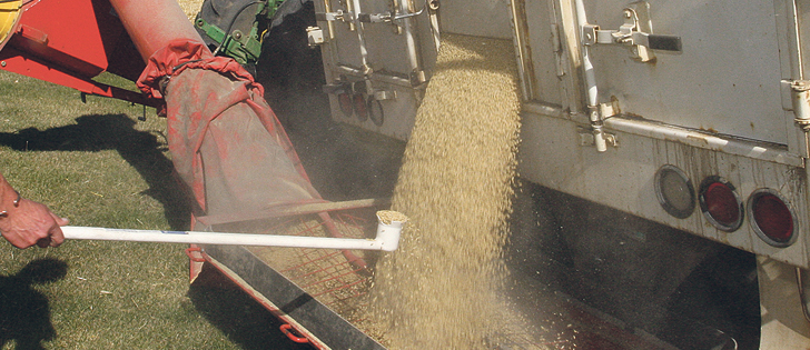 Growers with quality barley may delay delivery, hoping their crop will be selected as malting grade.  |  File photo