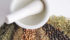 A mortar and pestle are essential tools for grinding whole spices and herbs. Pictured with the mortar and pestle are, from the left, thyme leaves, celery seed, coriander seed, cumin, black pepper and rosemary leaves. | Betty Ann Deobald photo