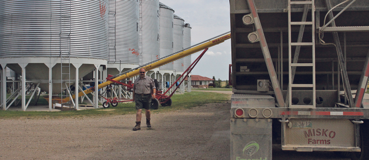 Robert Misko loads peas for transport to Yorkton during this year’s harvest. | Karen Morrison photo