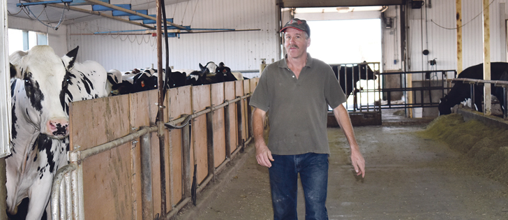 Holstein producer Gys Van den Pol of Tempest, Alta., raises cows in an open concept barn and says cow comfort is a priority for the dairy.  |  Barb Glen photo