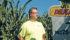 Paul Gregoire, an agronomic research specialist with Monsanto, inspects a corn field at the company’s research farm near Carman, Man., Aug. 3. | REUTERS/Zachary Prong photo
