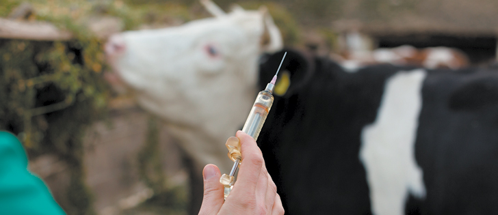 The effectiveness of vaccines and antibiotics can be compromised if they are stored at incorrect temperatures.  |  Getty image