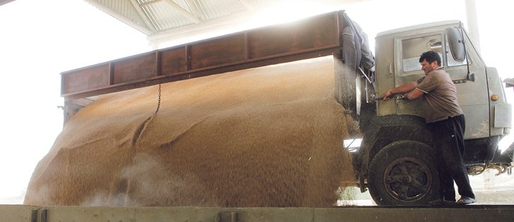 A driver unloads a truck during harvest in the Stavropol region of Russia, last year. The government wants to invest in infrastructure to increase export capacity.  |  REUTERS/Eduard Korniyenko photo