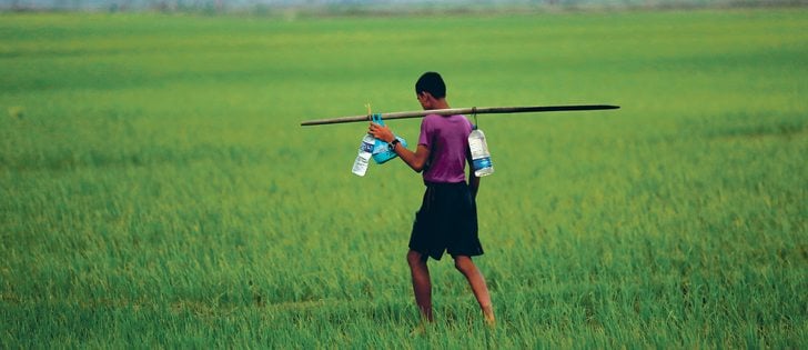 A man carries bottled water as he walks through a paddy field in Teknaf, Bangladesh. The Canadian Foodgrains Bank says local volunteers in countries such as Bangladesh are crucial for the success of its projects.  |  REUTERS/Mohammad Ponir Hossain photo