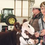 Katie Songer shows her champion commercial heifer at the Olds Fall Classic show earlier this fall. Her family runs Lucky Stock Farms at Rocky Mountain House, Alta. | Barbara Duckworth photo